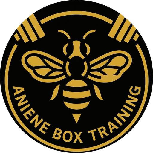 Logo Aniene Box Training