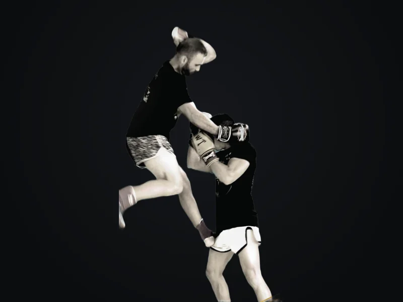 Muay thai